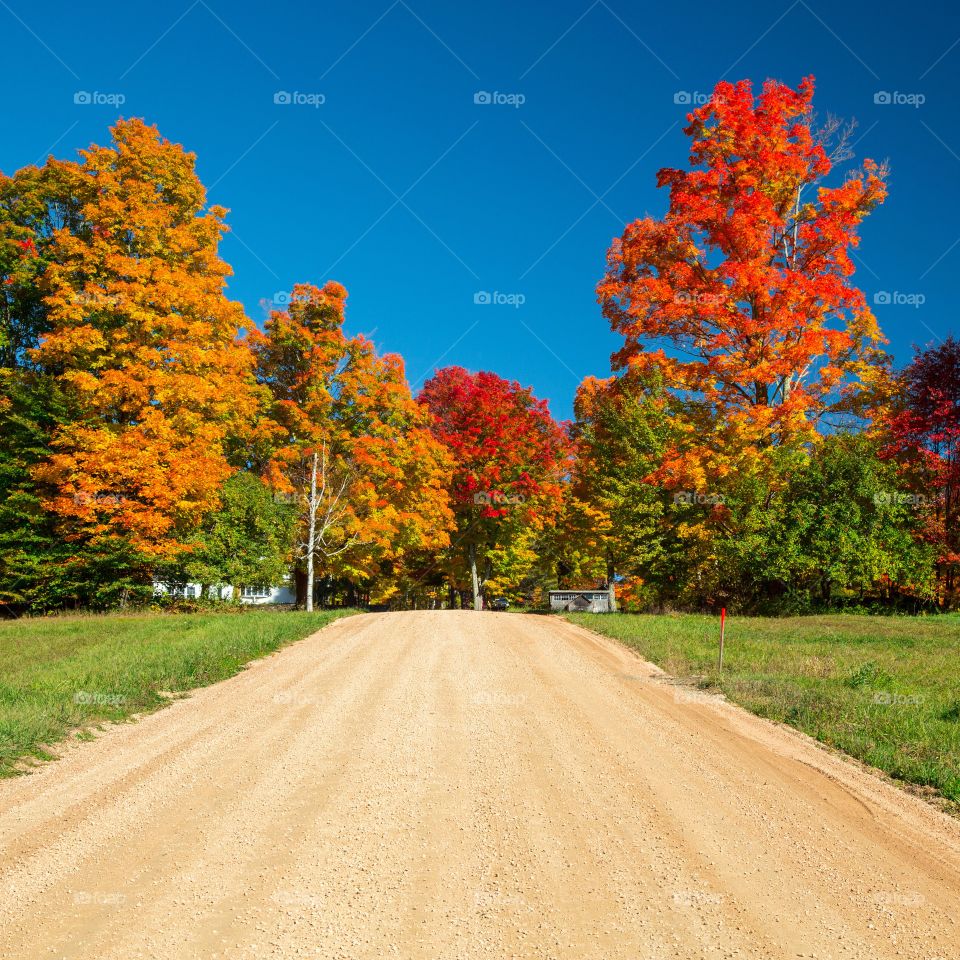 Dirt road in the season of autumn 