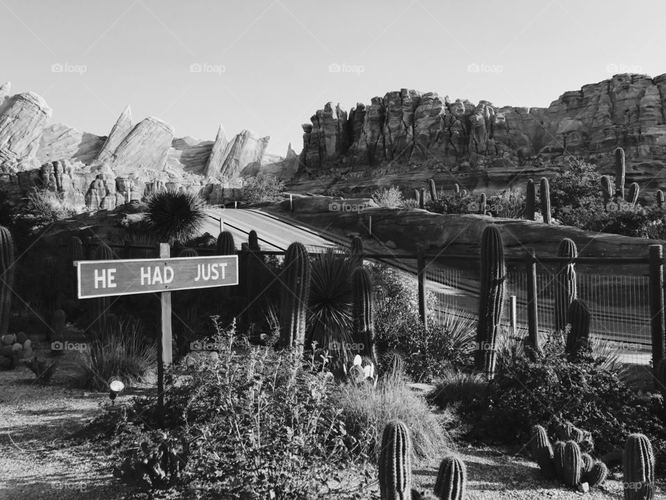 California Adventure. Black and White. "He had Just" 