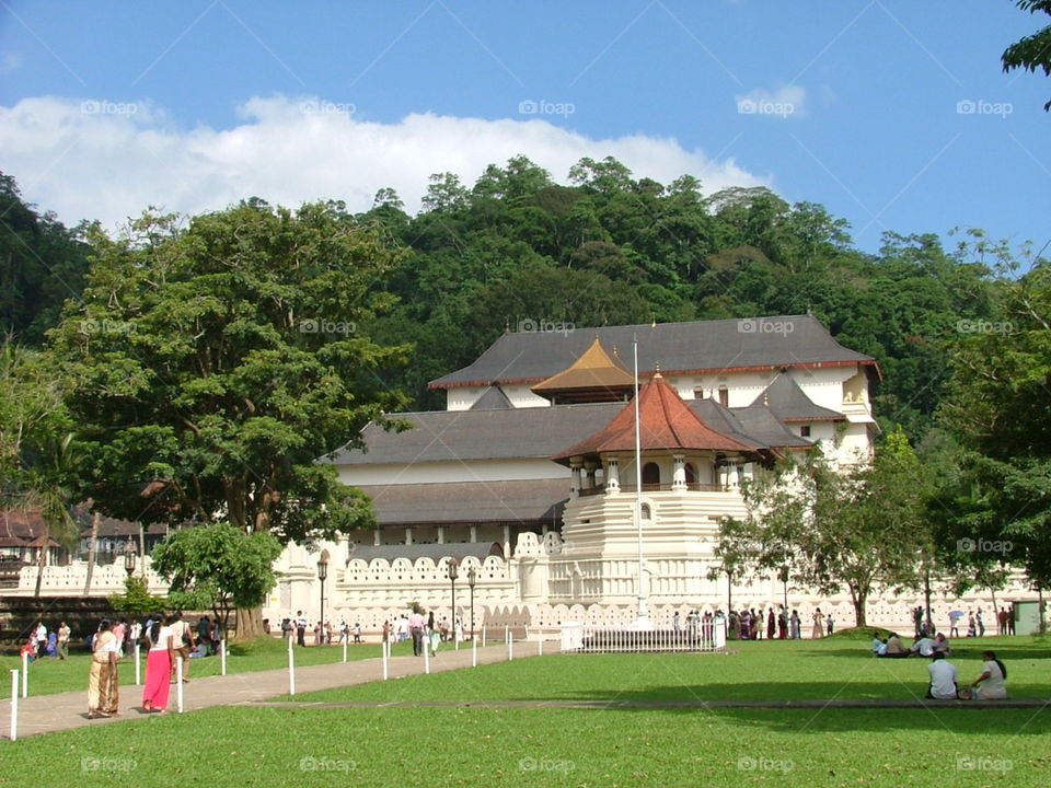 Tooth Temple Sri lanka