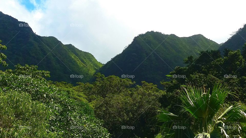 Hawaiian mountains