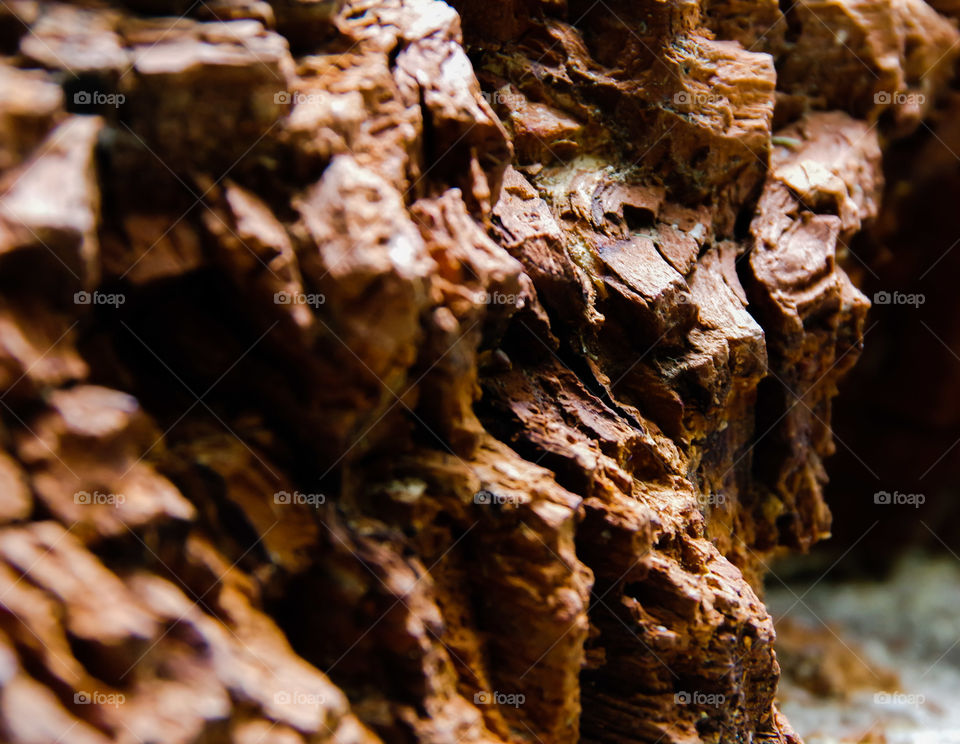 wood texture . up close look