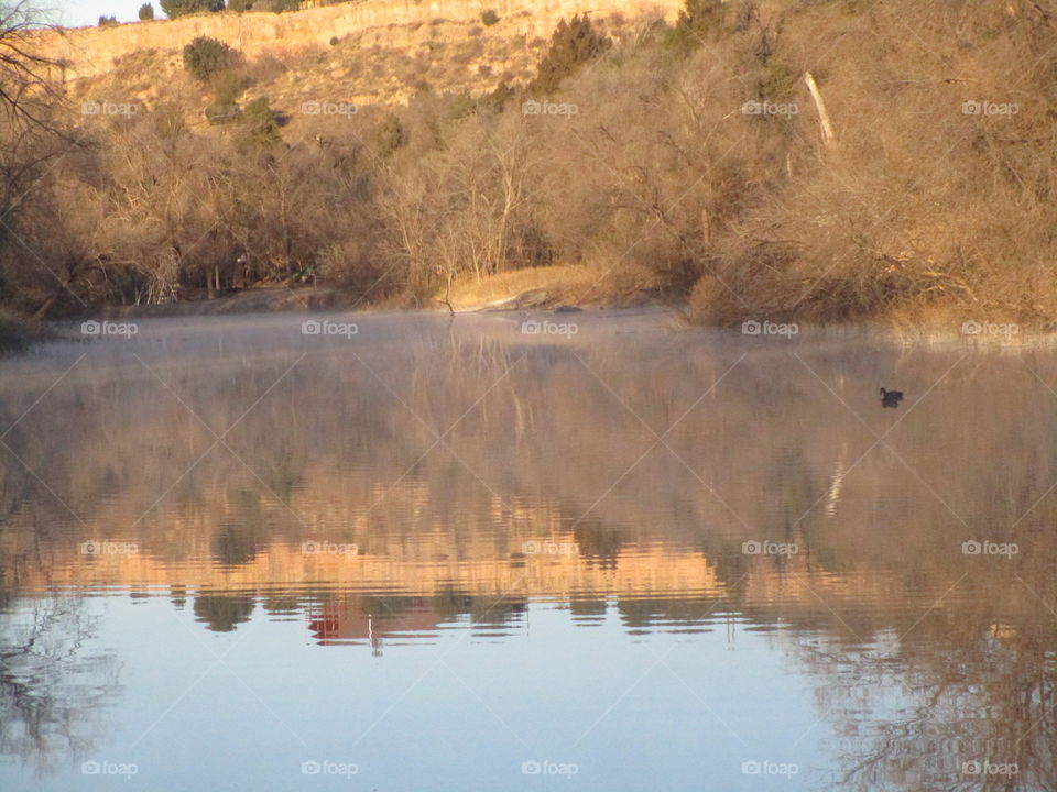 Timber Creek Amarillo Texas 