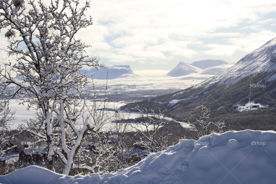 Scenic view in winter