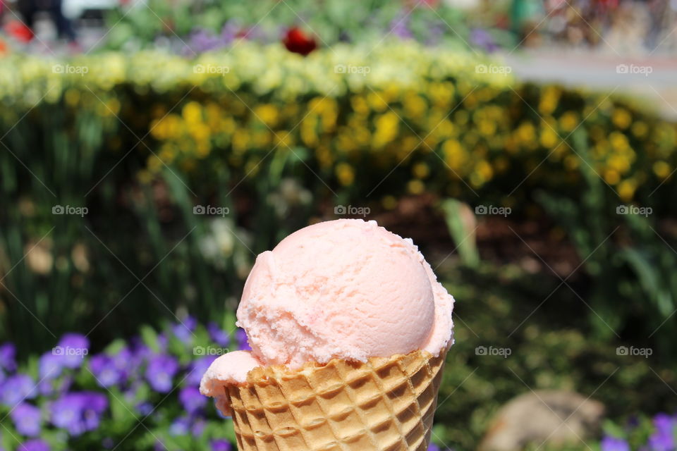 Close-up of strawberry ice cream