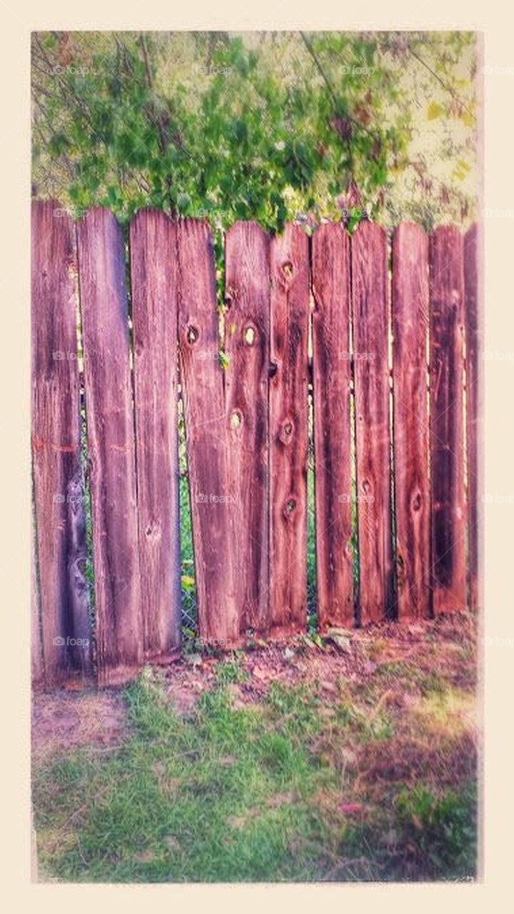 Old Fence. My old fence from the 1940s.
