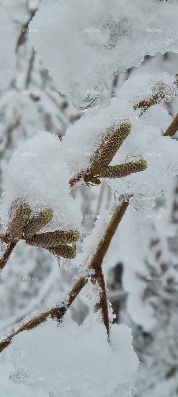 Eiszeit