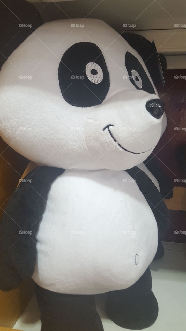 Panda Bear