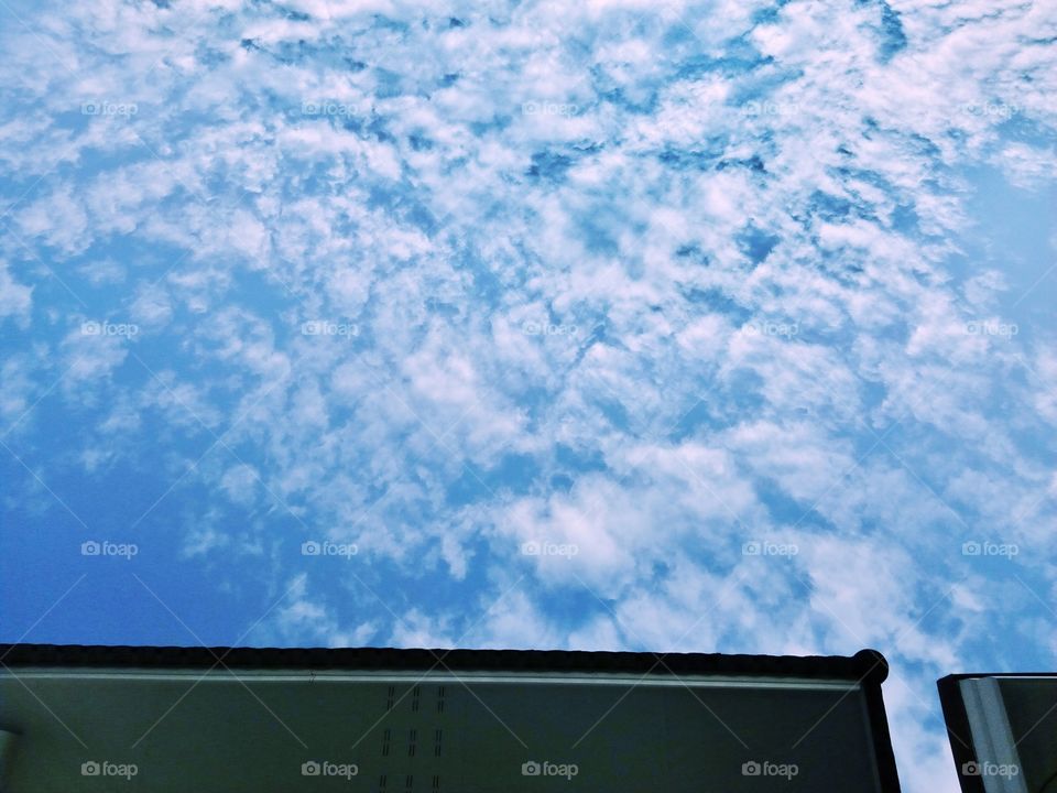 sky,roof