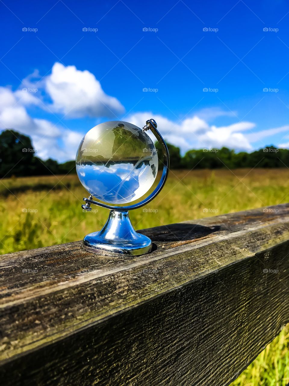 Closeup of glabe in front of field