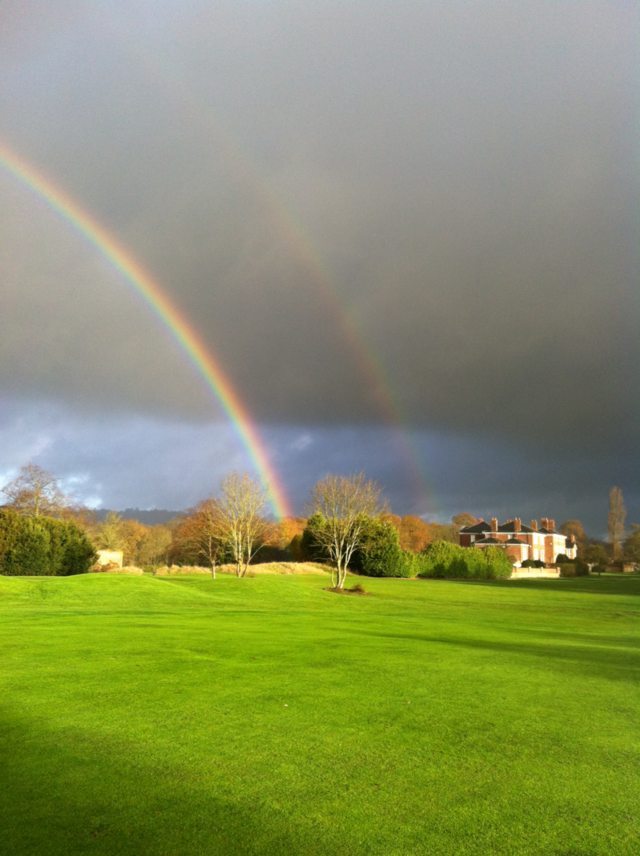 sky grass rainbow by mc16