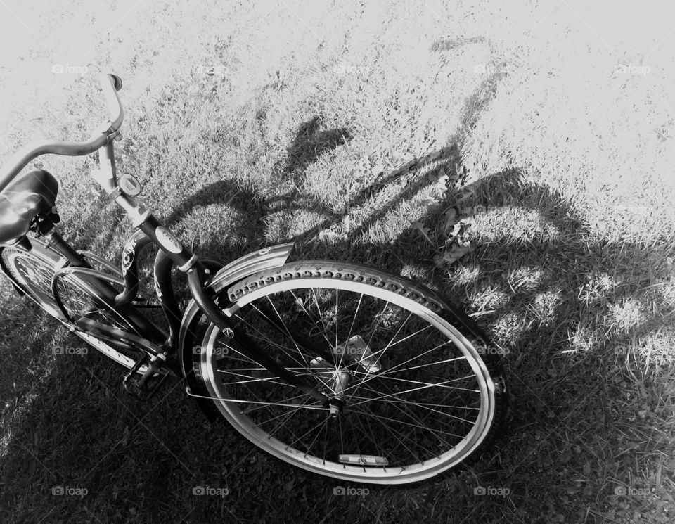 Bicycle Shadow…
