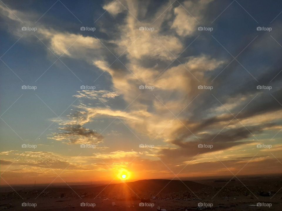 Please, I want you to support me, I need your help, I am poor, I need dollars, please