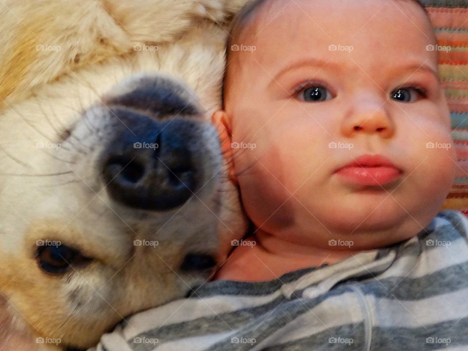 Baby Girl With Family Dog