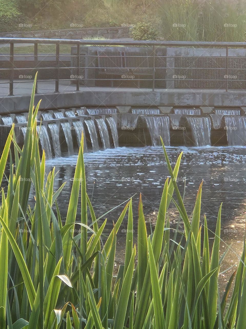 man-made waterfalls and green grass in Urban setting