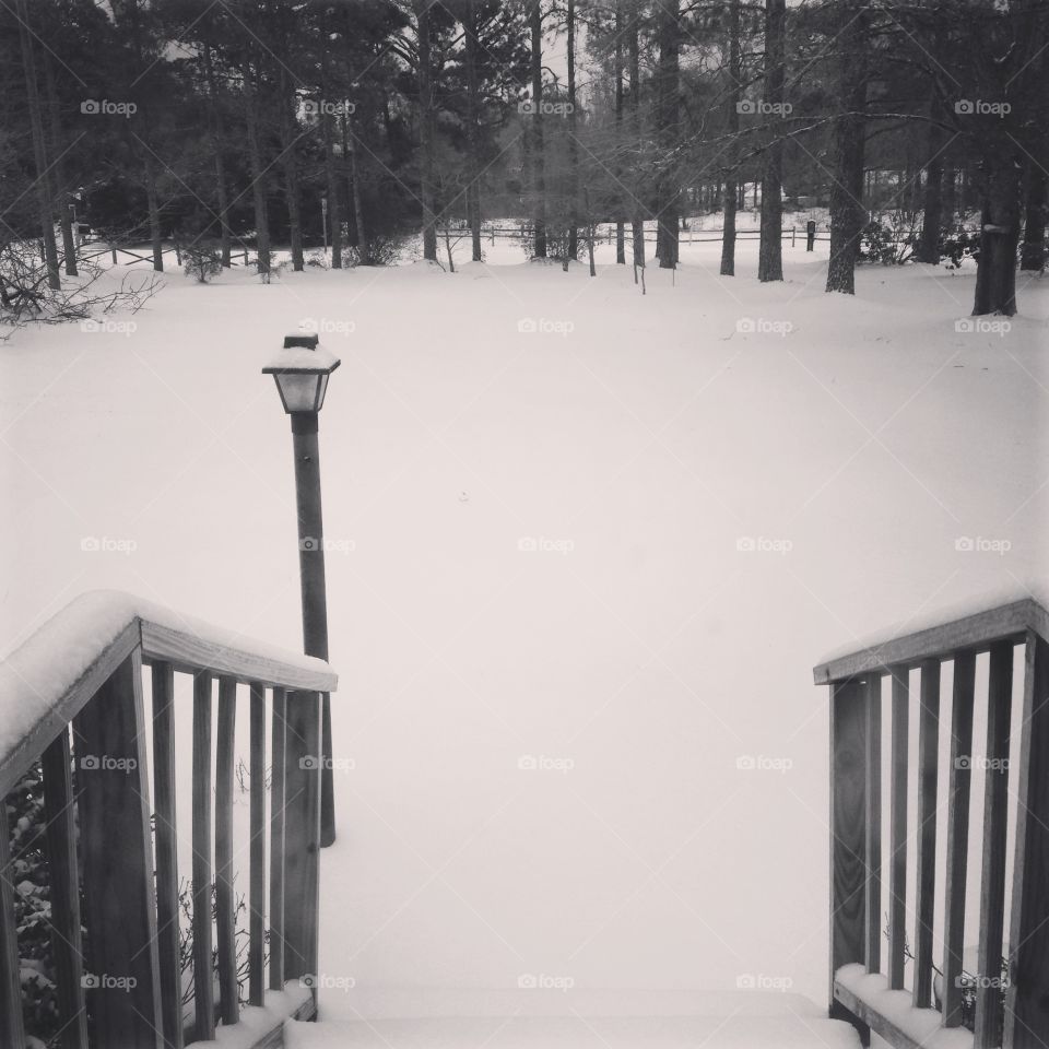 Looking out at a rare snowy day in eastern Nc