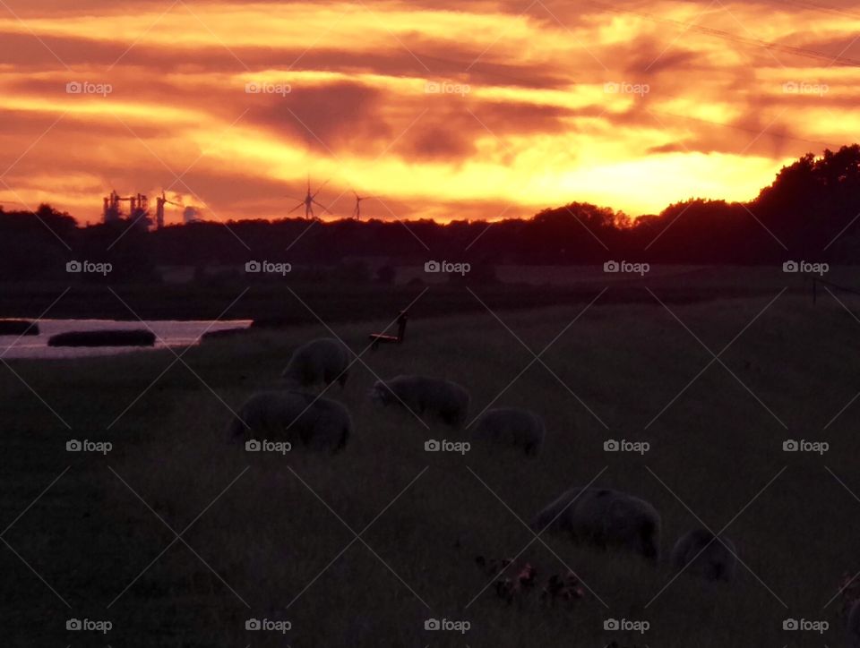 Sunset on the dike 