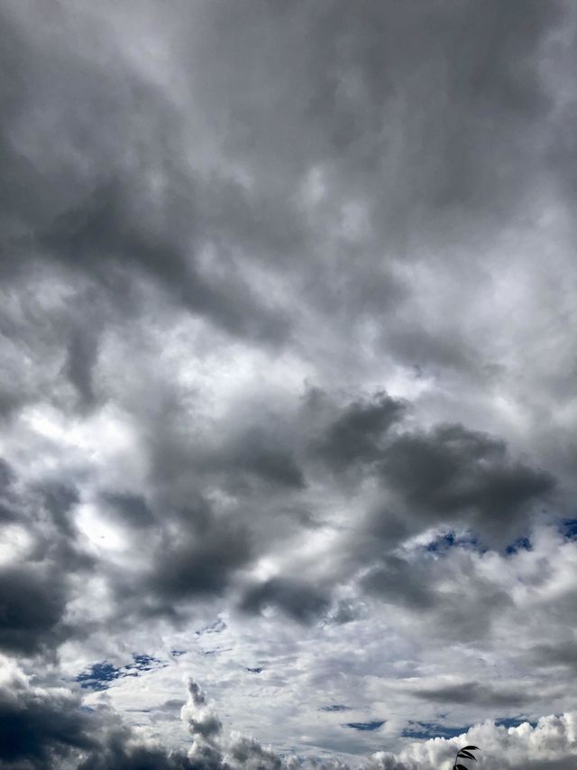 Heavy clouds holding their tears.