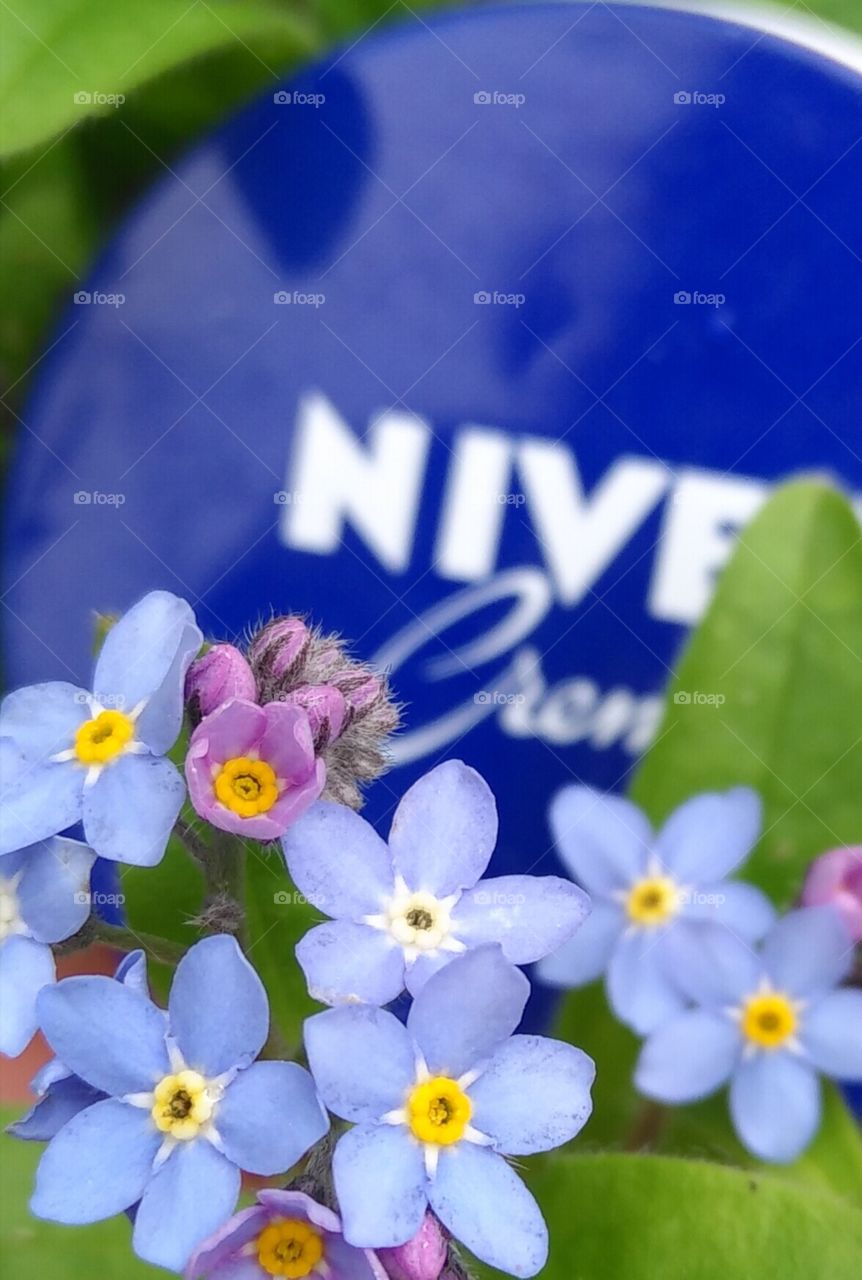 blue and green with Nivea