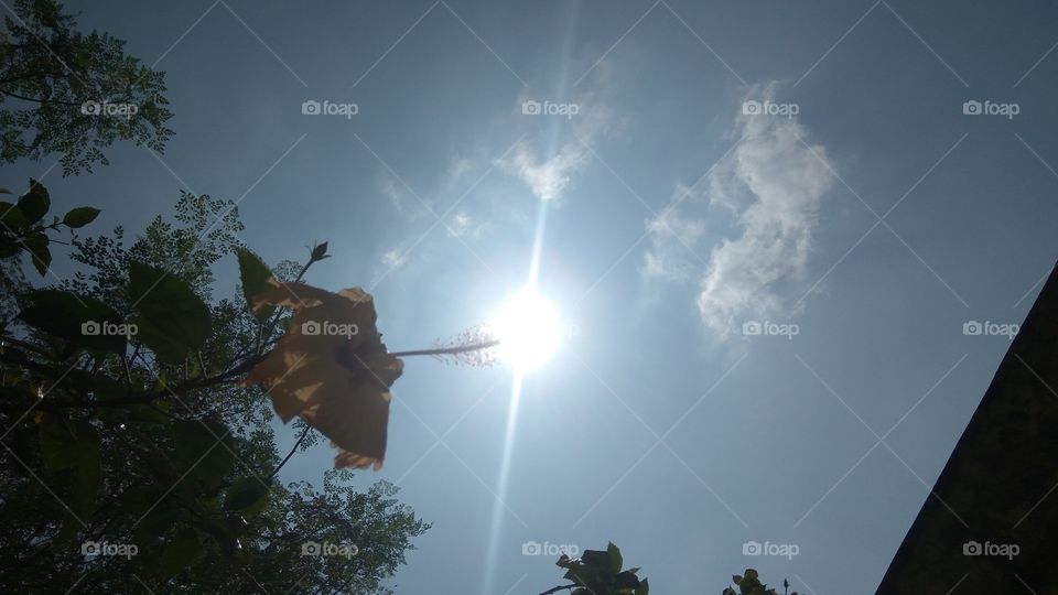 super sun of in the sky