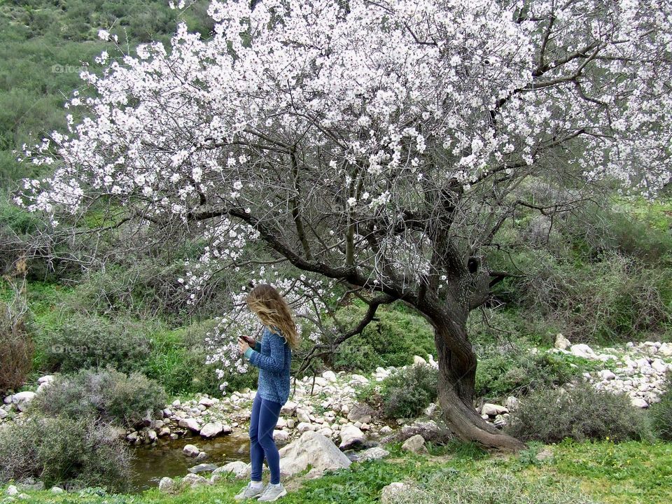 Blossom of Almond tree. One of the beautifully moments of the local spring