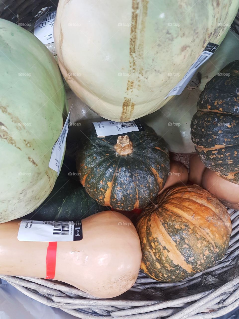 Fresh Pumpkin types varieties