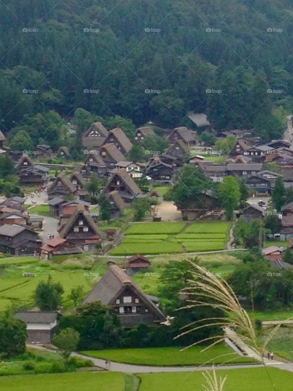 Shirakawago