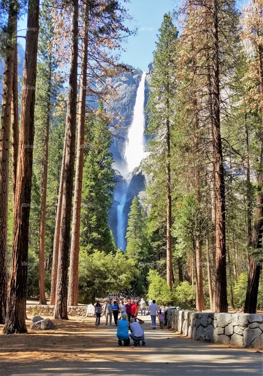 Majestic Yosemite waterfalls