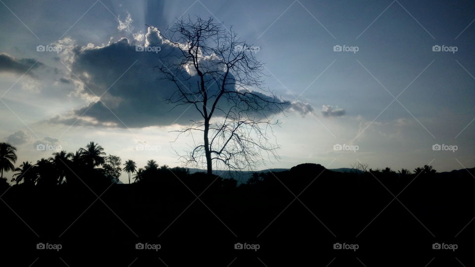 I like that the most beautiful sky and clouds and tree