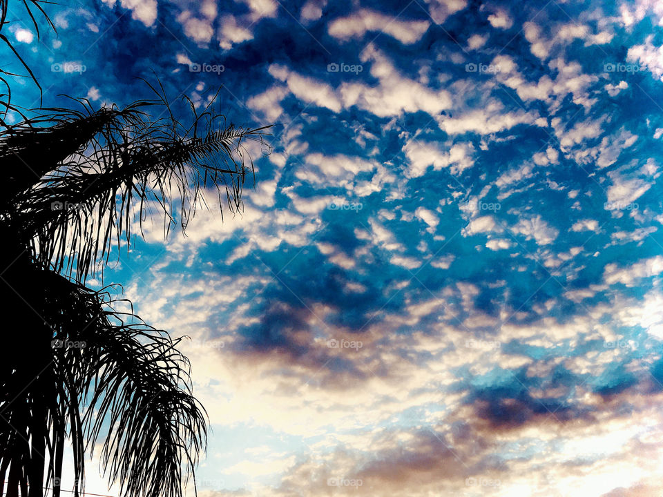 🌅Desperte, #Jundiaí.
Que a #QuartaFeira possa valer a pena!
🍃
#sol #sun #sky #céu #photo #nature #morning #alvorada #natureza #horizonte #fotografia #pictureoftheday #paisagem #inspiração #amanhecer #mobgraphy #mobgrafia 