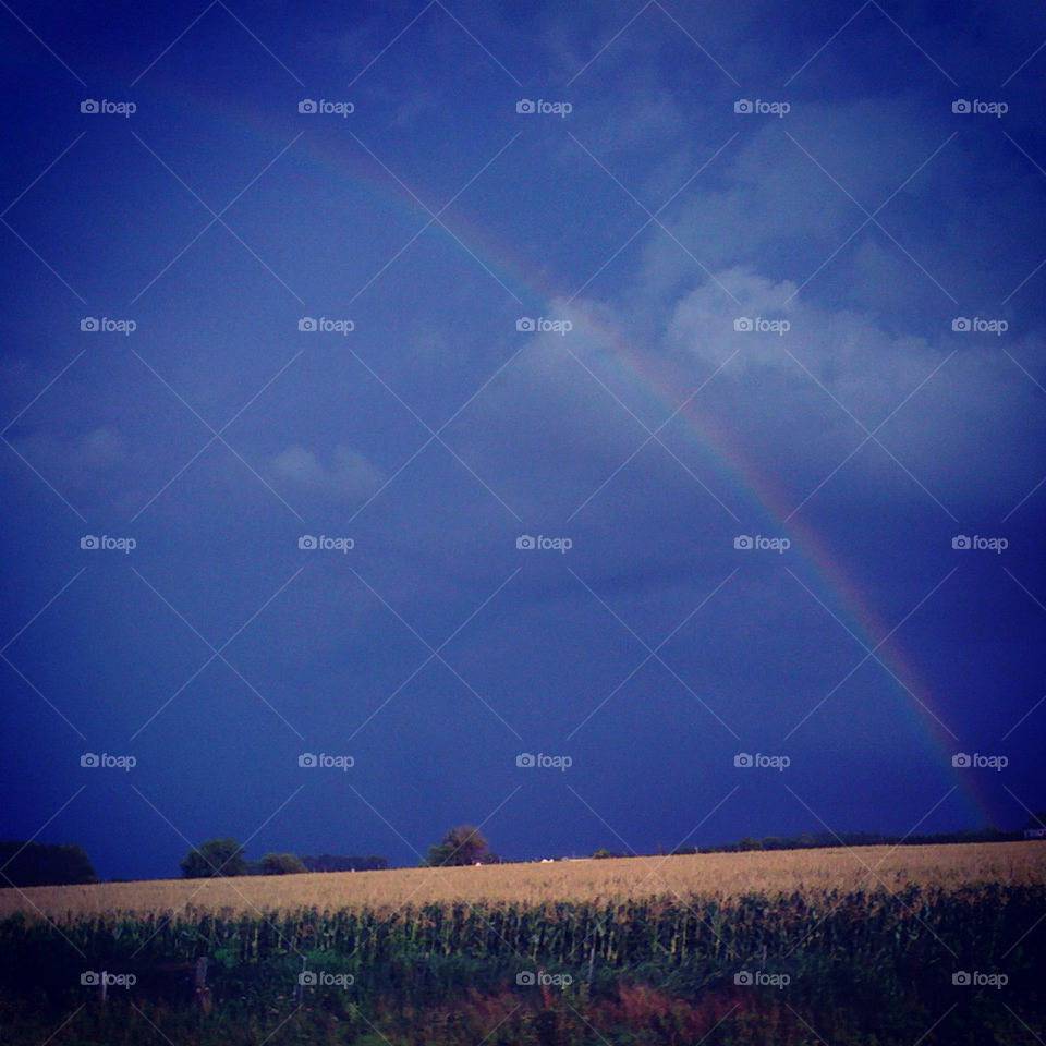 field pretty rainbow storm by tonyalynn