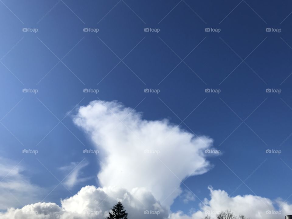 Blue sky with white clouds 