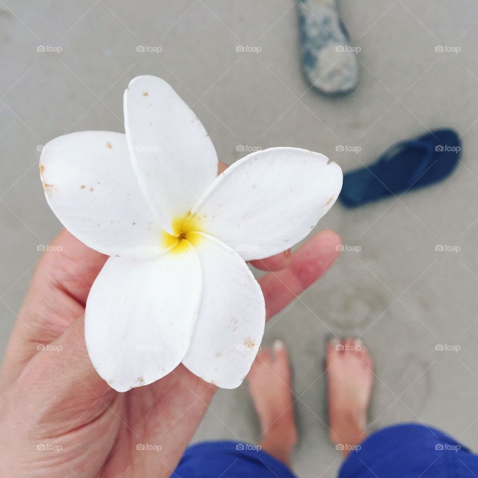 Beach gift offerings 