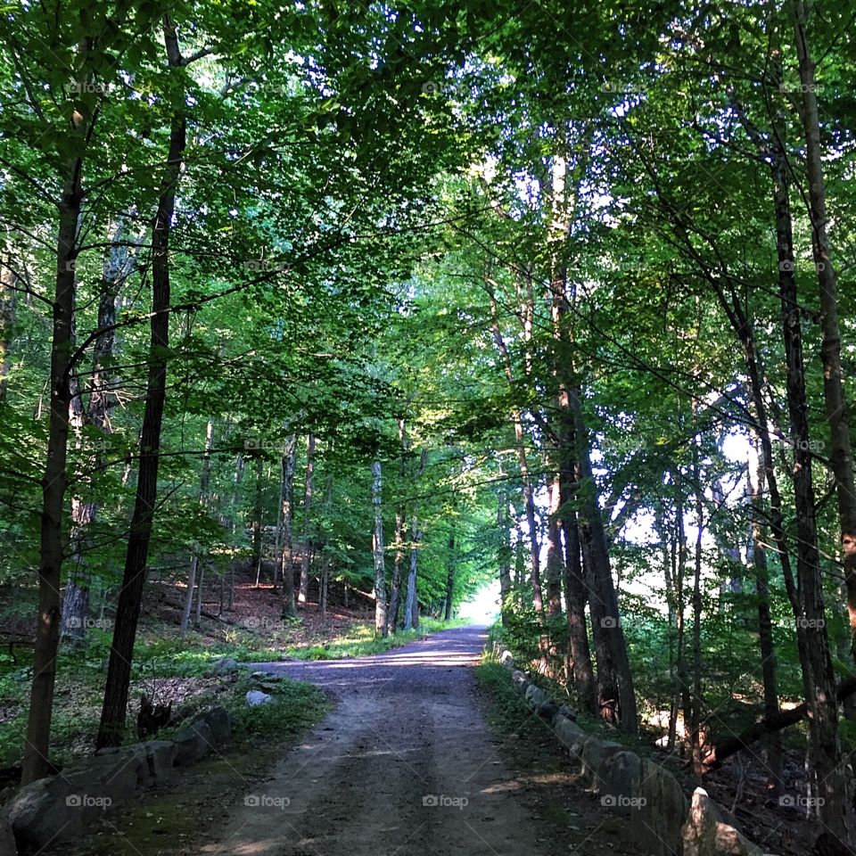 Up at dark o'clock this morning for a long run that ended here 