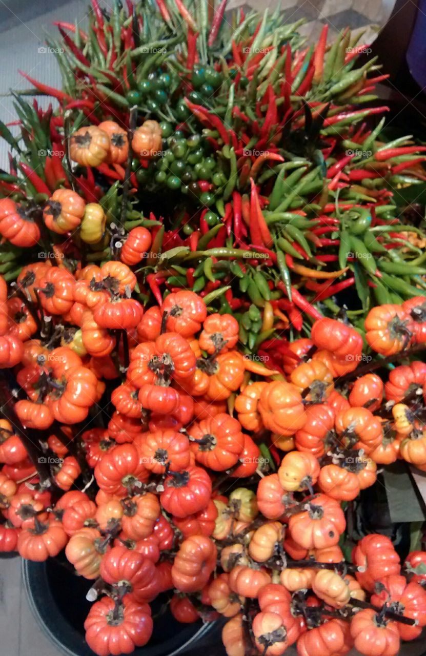 Close-up of food in new york