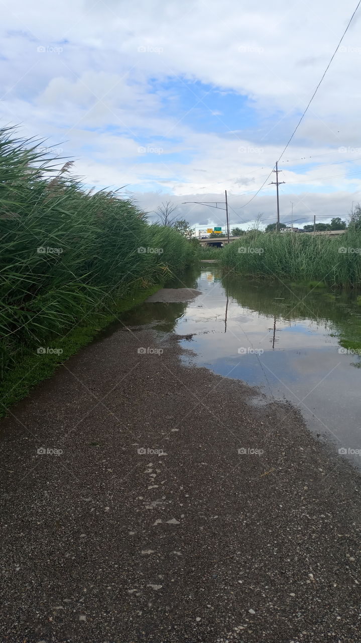 river flooding the road