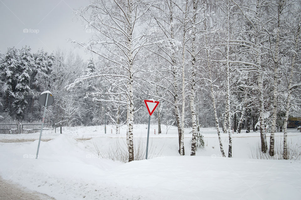Road marking in winter