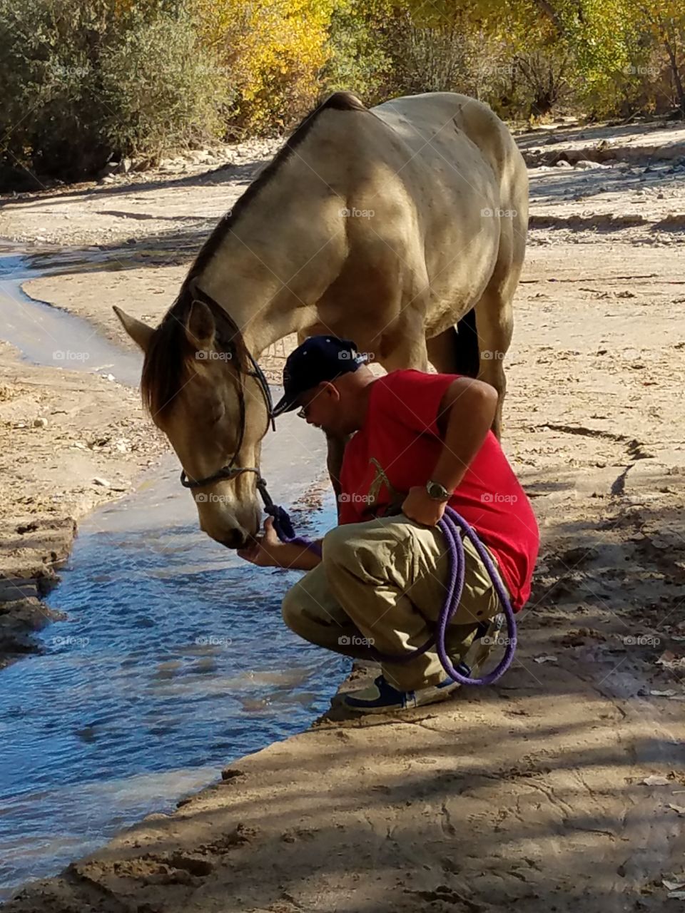 Thirsty Horse