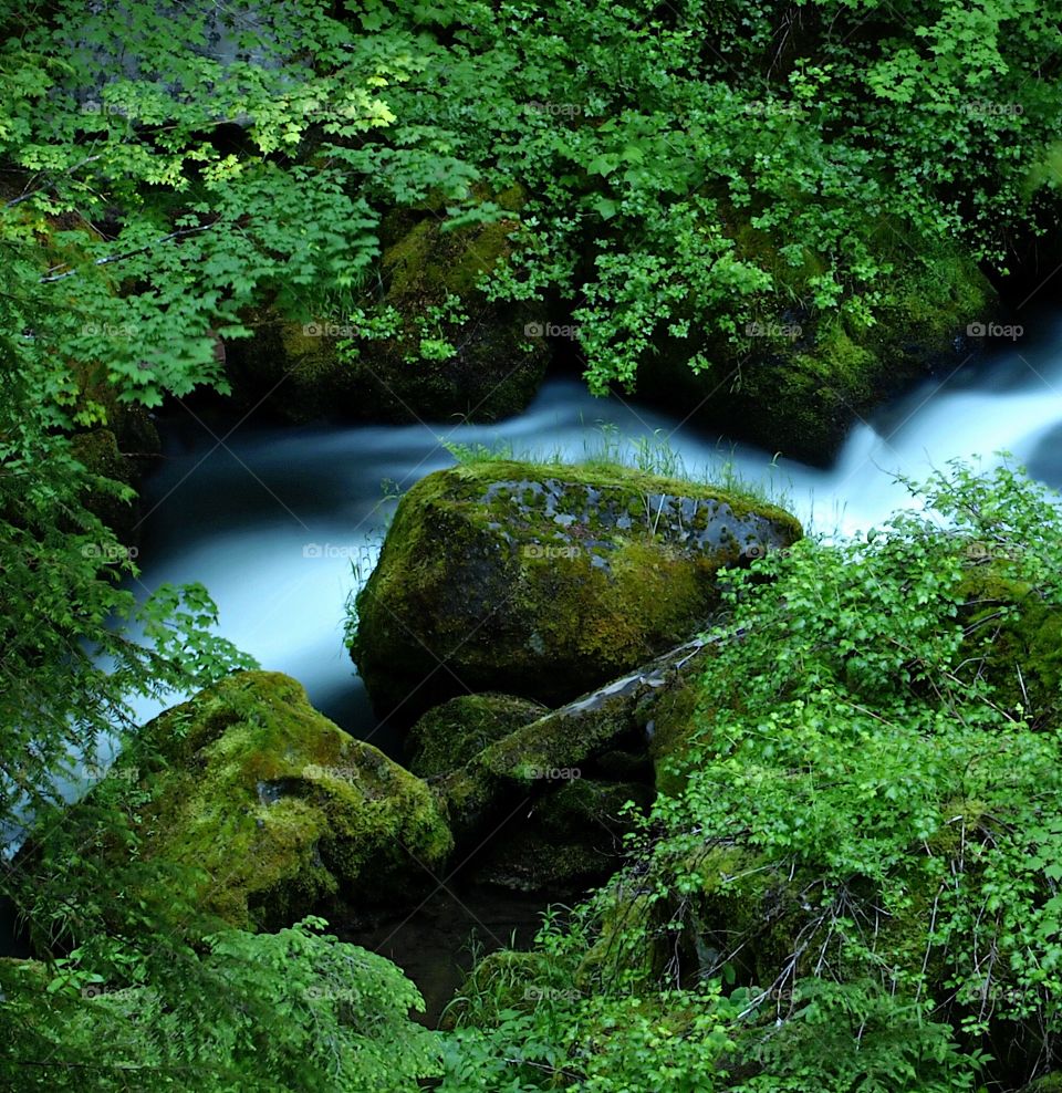 A creek with smoothed out water flows through banks with boulders and lush green bushes and moss in Southern Oregon on a summer morning. 