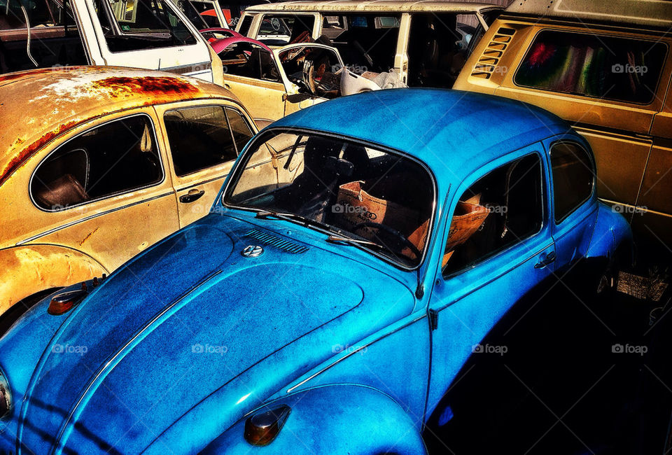 Old Volkswagens in a wrecking yard