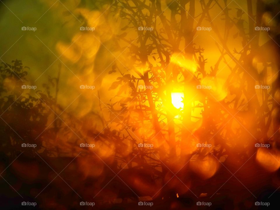 sunrise