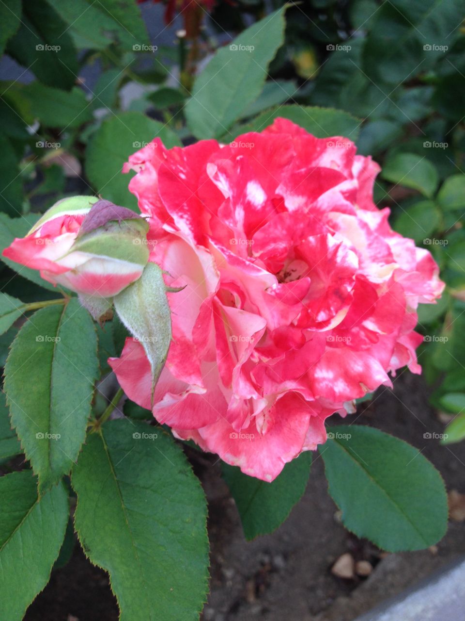 Variations on a Theme