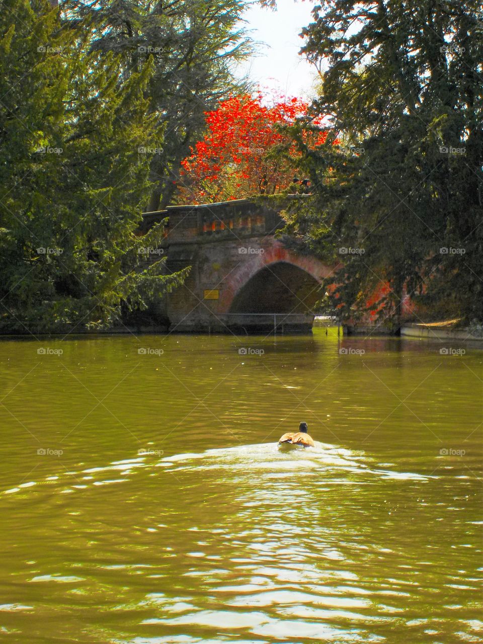 Spring is in the air 