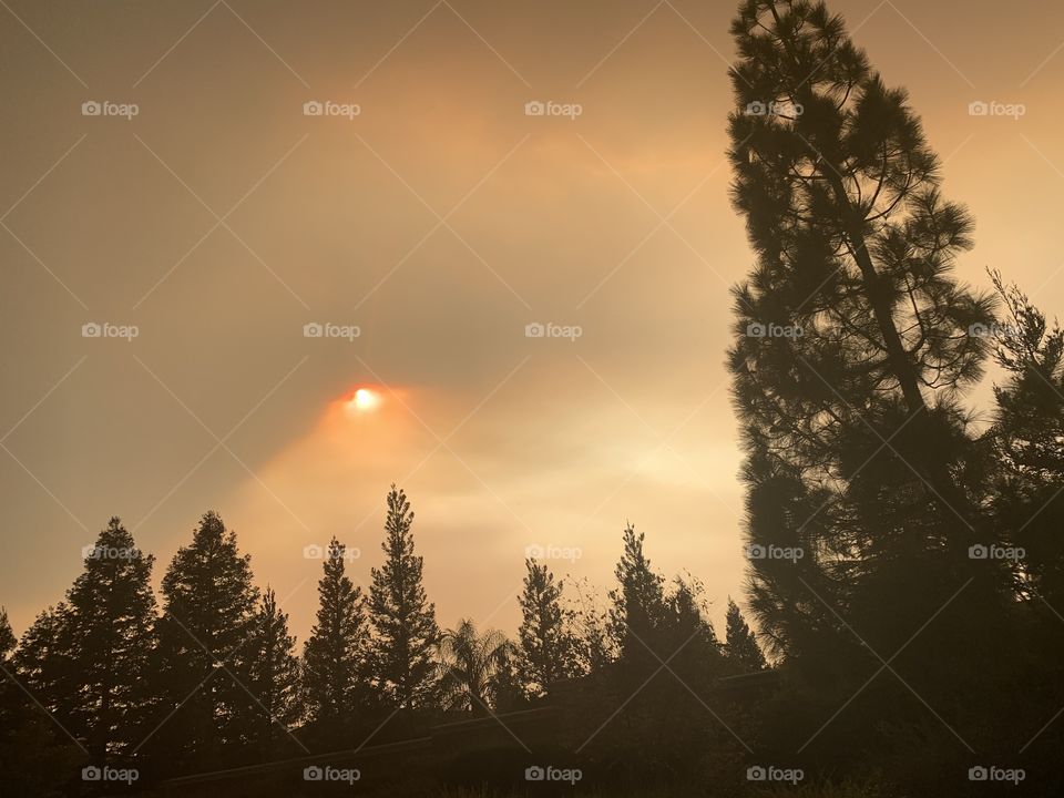 Sun peaking thru the Smokey sky in California USA 