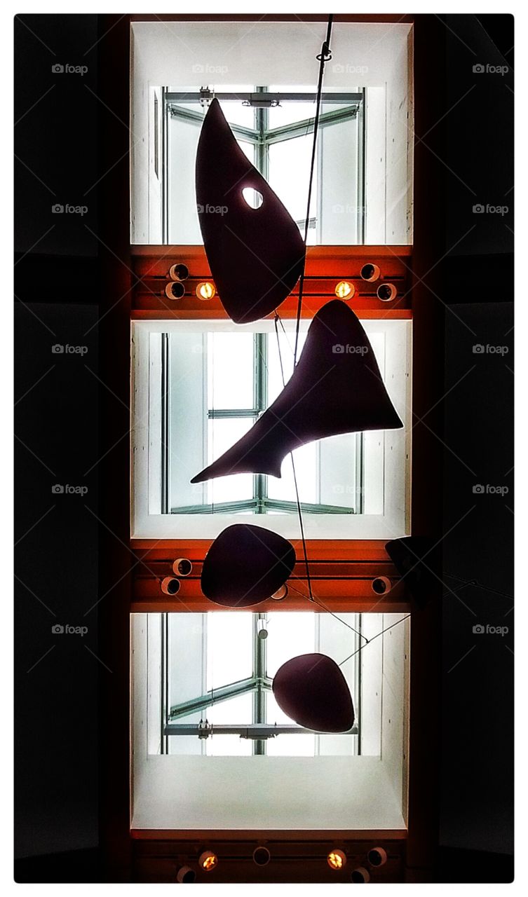 No Person, Hanging, Wood, Desktop, One