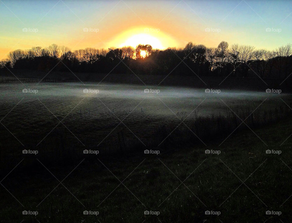 elst field light sun by vienesse