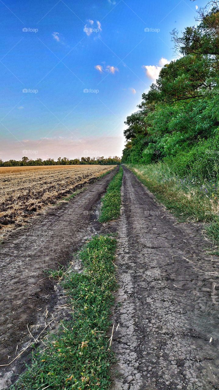 Beautiful landscapes and a long road