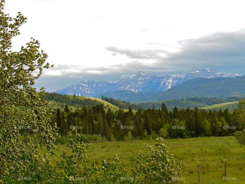 Looking out over the foothills of the Rocky Mountains, Alberta