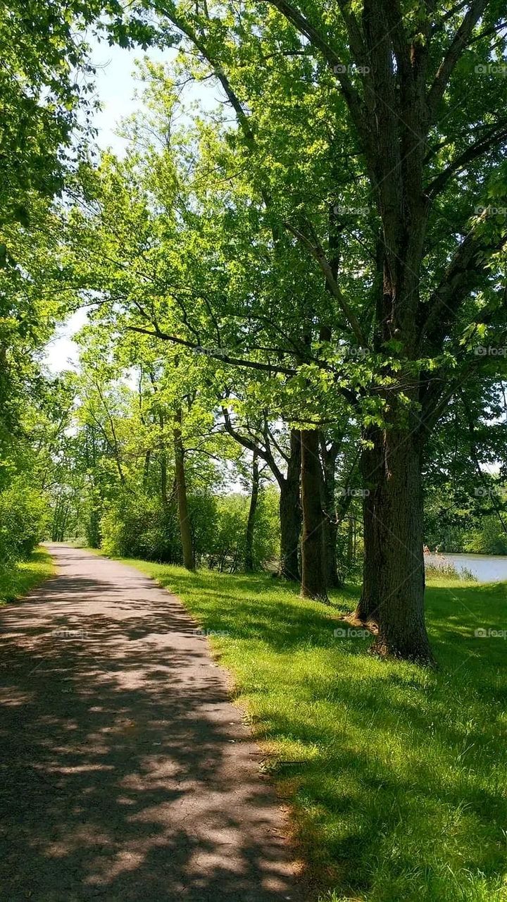 A very beautiful picture, and there is no better picture than it. There is no better picture of green herbs and colorful, red and white roses than it. Glory be to God, the natural and picturesque view, and there is no more wonderful picture than it.