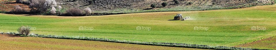Agrícola 
Agricultural
