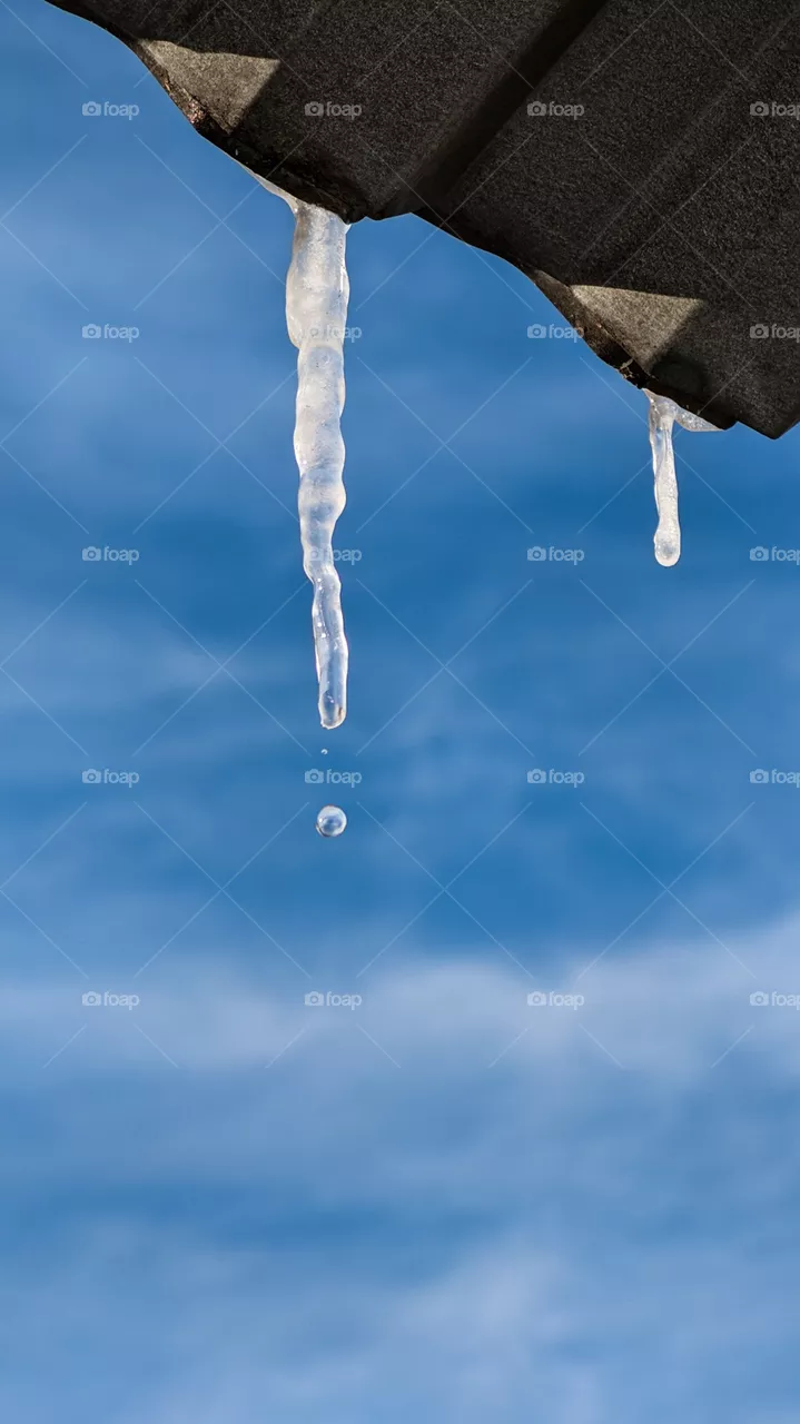 Melting icicles against the blue sky